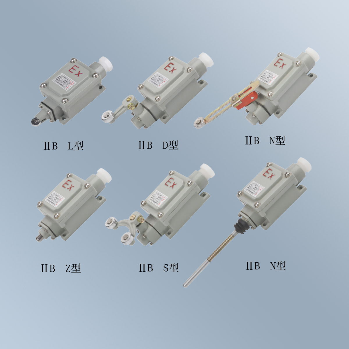 BLX5 系列防爆行程開(kāi)關(guān) (ⅡB)